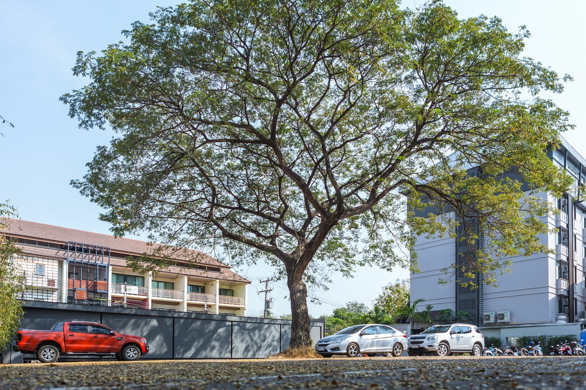 L Nimman Hotel Chiang Mai Bagian luar foto